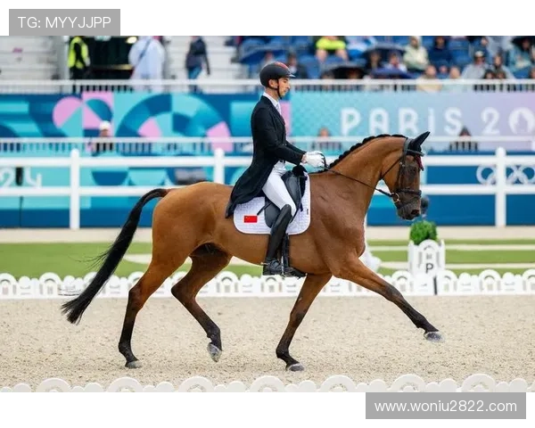 奥运马术盛典:全球顶尖骑手赛场对决直播 奥运马术盛典:全球顶尖骑手赛场对决直播